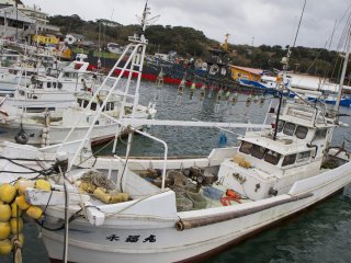 Yobuko Harbor is lined with fishing vessels