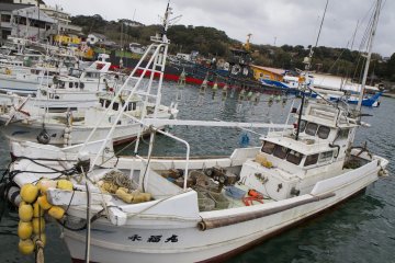 <p>Yobuko Harbor is lined with fishing vessels</p>