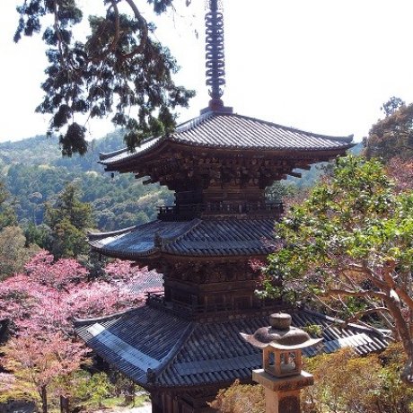 Ichijo-Ji Temple