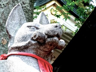 寺院を背に映える狐の石像