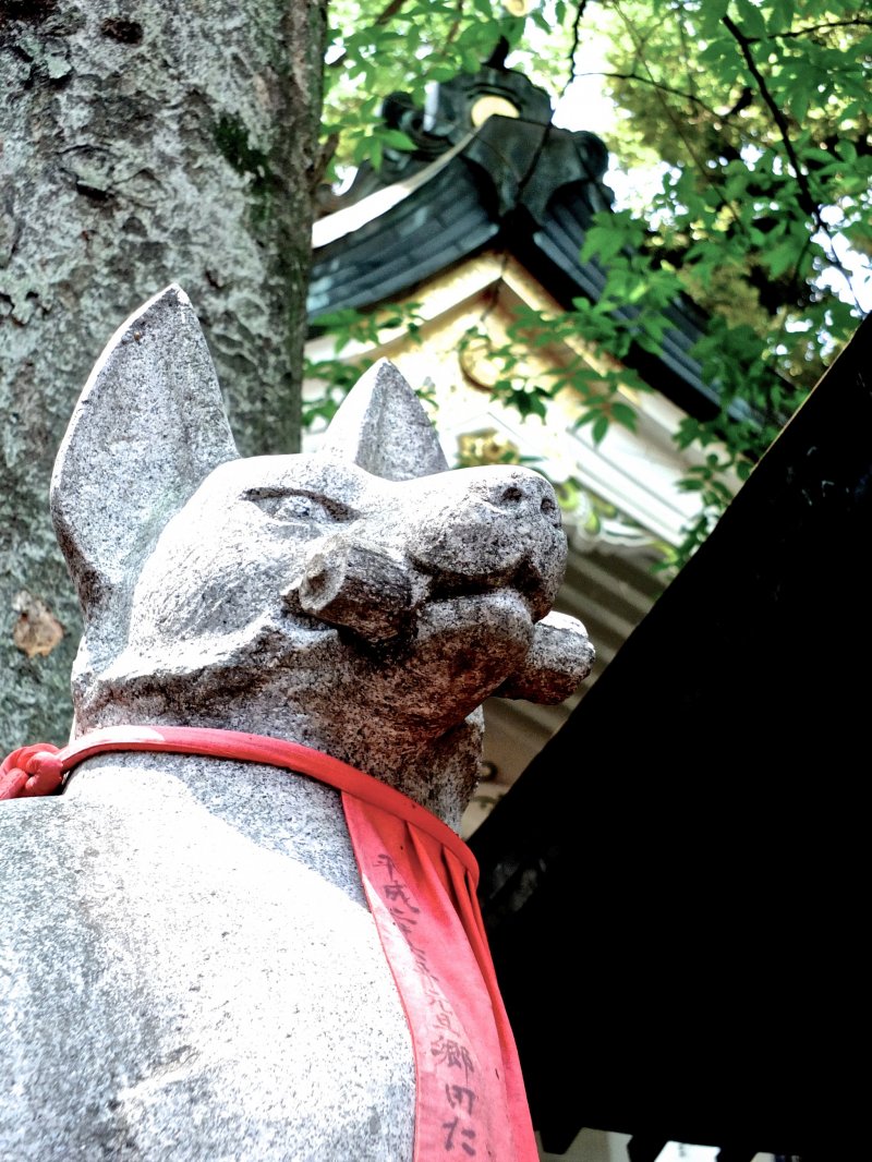 <p>Fox statue with temple in background</p>