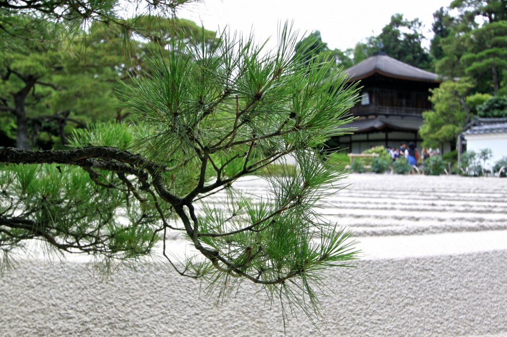 วัดกินคาคุจิ(Gingakuji Temple)