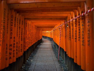 Ceci est la vue arrière des torii. Les inscriptions indiquent le nom du donateur et la date