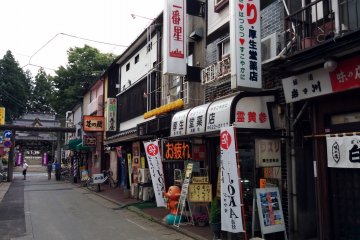 <p>The approach to Sakurayama Shrine leads you through tori&nbsp;gates and past modern day restaurants and gift shops</p>