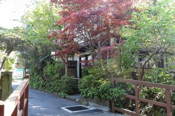 <p>บ้านหลังหนึ่งมีต้นเมเปิลญี่ปุ่นมีใบสีม่วงเข้ม</p>