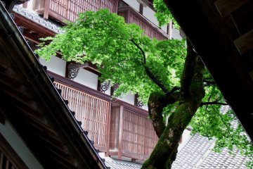 지붕 타일과 녹색 잎을 통해 사원 건물 중 하나를 보며