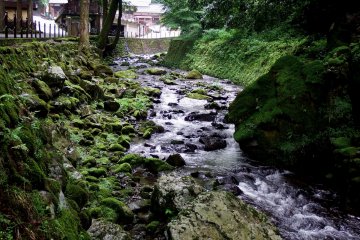 This is the beautiful Eiheiji river. It looks more like a stream than a river