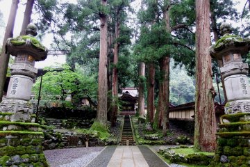Divine view of Kara-mon Gate, stone lanterns and ancient cedar trees