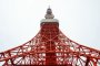 قصة حب مع برج طوكيو