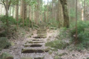 On the path from Tsutsujigaoka back to the Shrine
