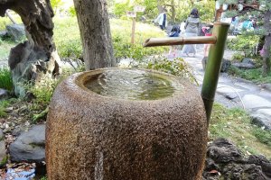 องค์ประกอบแรกและเป็นสิ่งที่ค่อนข้างสำคัญคือ สวนญี่ปุ่นจะต้องมีน้ำ ไม่ว่าจะเป็นแค่น้ำในอ่างหินเล็กๆ