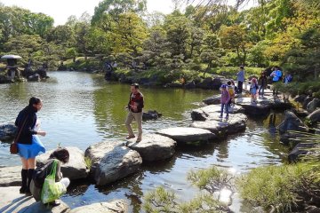 <p>ก้อนหินที่เรียงรายในสระน้ำของสวนคิโยะสุมิ ที่มีไว้สำหรับข้ามสระน้ำในบางช่วง ได้ถูกจัดวางไว้อย่างเป็นอย่างดี มีทั้งความงามและยังใช้ประโยชน์ได้</p>