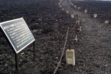<p>The walk along the lava flow is bumpy and takes about 30 minutes</p>