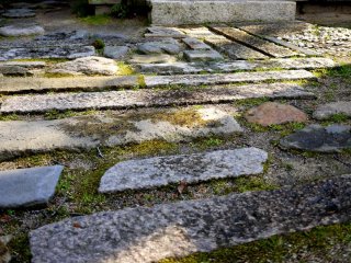 Paving stones with sand and moss between