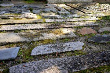 <p>Paving stones with sand and moss between</p>