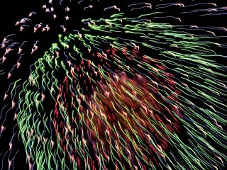 A close up of one the 15,000 plus multi-colored fireworks