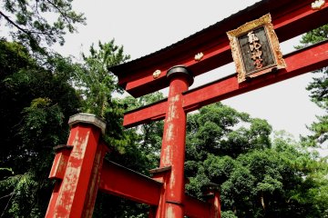 일본의 세 번째로 높은 목조인 케히진구의 오래된 목조 토리이는 중요한 문화재다