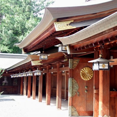 Đền Kehi Jingu tuyệt đẹp, Tsuruga