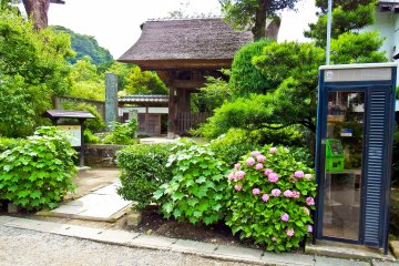 <p>The main gate to Gokuraku Temple with its thatched roof and colorful flower garden</p>