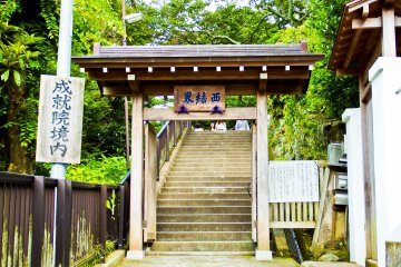 <p>Fancy a walk? The start of the 108 stairs leading up to Jojuin Temple</p>
