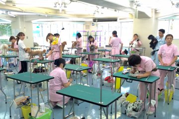 <p>Yokohama Trimming School nurtures the professional dog groomer</p>
