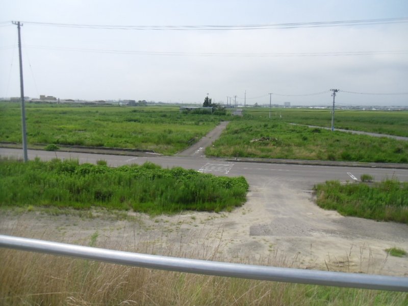 <p>This is Yuriage over three years after the tsunami. It looks green and peaceful; there are insects and birds here. But once thousands of people lived here and everything was wiped away in minutes. In Natori, over 900 people lost their lives in the tsunami - around 750 of them were in Yuriage.</p>