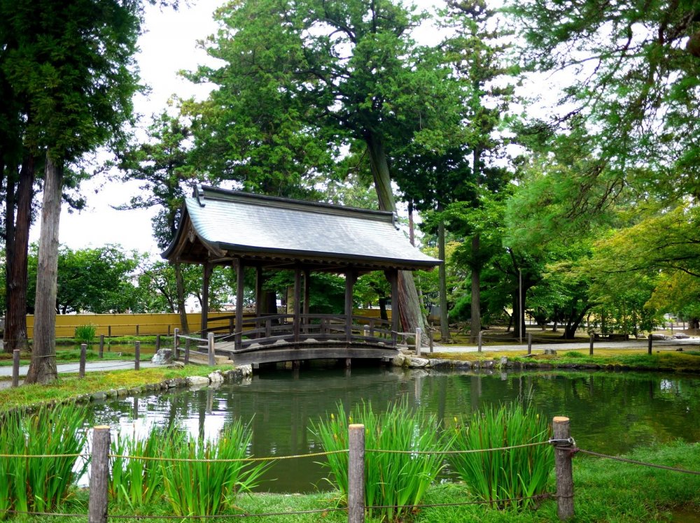 The pond featured an unusual covered wooden bridge