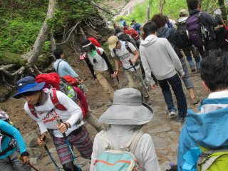 Có rất người leo núi núi Phú Sĩ mỗi năm.