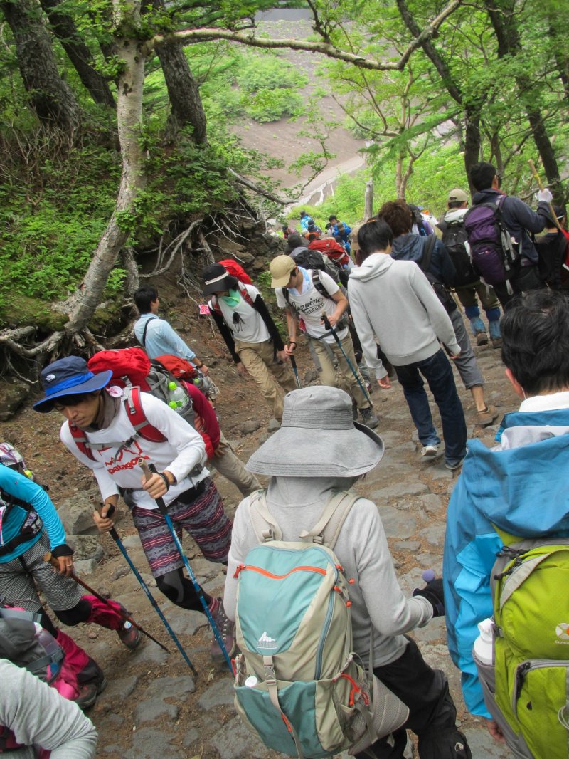 <p>Many people hike up Mount Fuji each year.</p>