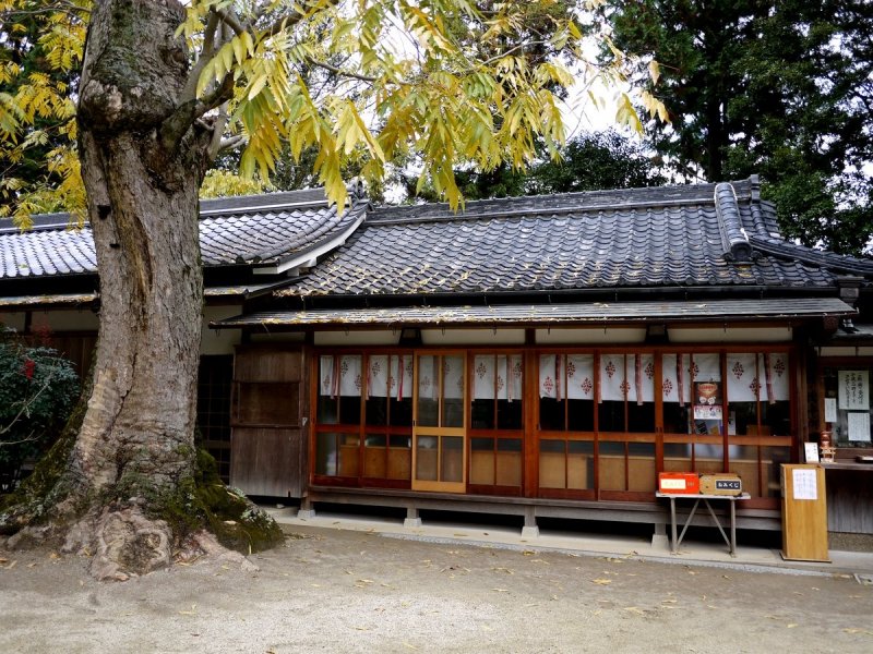 <p>Shrine building under the trees</p>