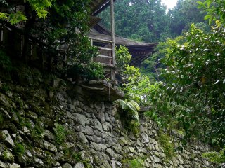 Moss enhances the beauty of massive stone retaining walls