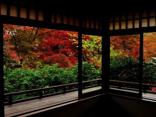 Looking out at the beautiful garden from the second floor of the main building. Heavenly view of the autumn garden left me speechless. This is what you call, &#39;moment of bliss&#39;