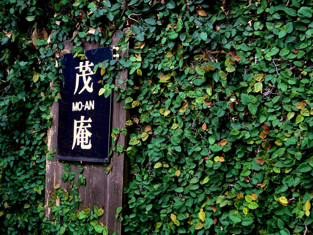 Mo-an&#39;s sign is surrounded by green leaves