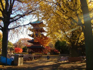 Une pagode sous les couleurs d&#39;automne