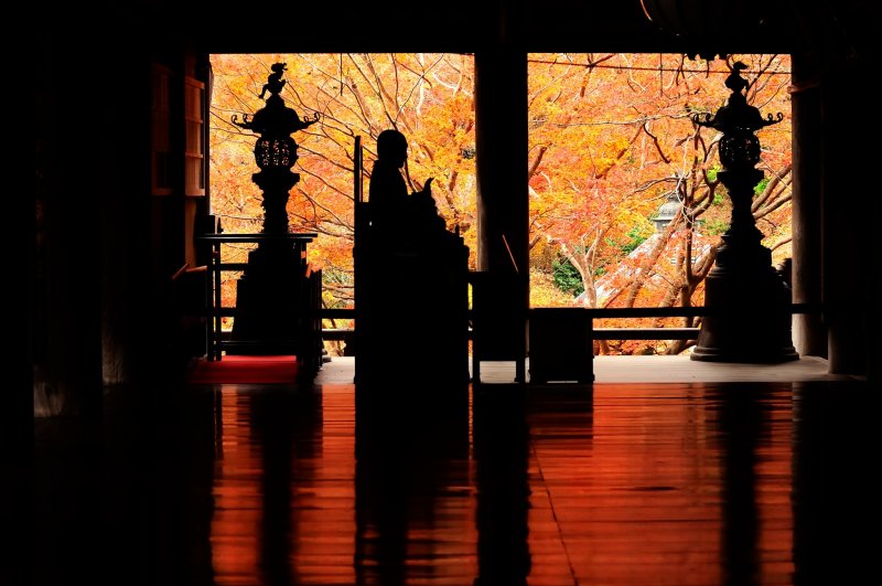 <p>&#39;Autumn Leave Floor&#39; is my favorite place in this temple. Most of the time I have to stand in line to take photos of it</p>