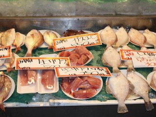 日本海の新鮮で美味しい魚介類がたくさん並べられている