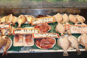 일본해안의 신선하고 맛있는 어패류가 많이 진열되어 있다