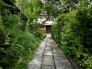 Path leading to one of the temple buildings