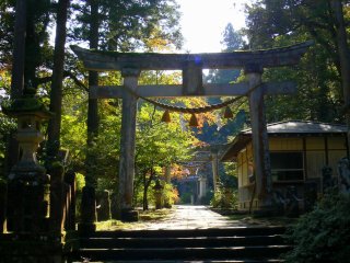 A series of stone torii leading to a shrine