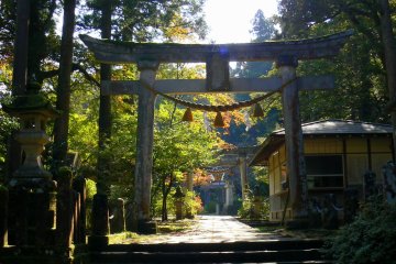 <p>A series of stone torii leading to a shrine</p>