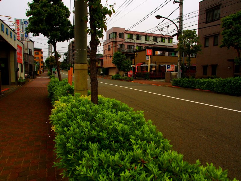 <p>Tokyo suburban street</p>
