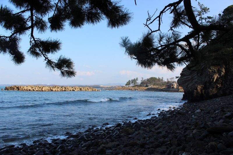 에치젠 마쓰시마 암초 북쪽에는 모래사장이 길게 뻗어 있다. 하마치라는 지명이다