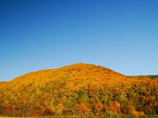 The color of autumn leaves in Hokkaido is a little different from the color in other parts of Japan