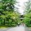 Menikmati Pagi di Nanzen-ji
