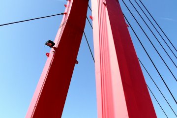 <p>Looking up at the red Iris Bridge</p>