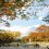 Musim Gugur di Taman Yoyogi