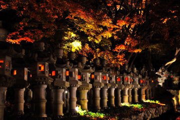 An army of night lanterns line the walkway