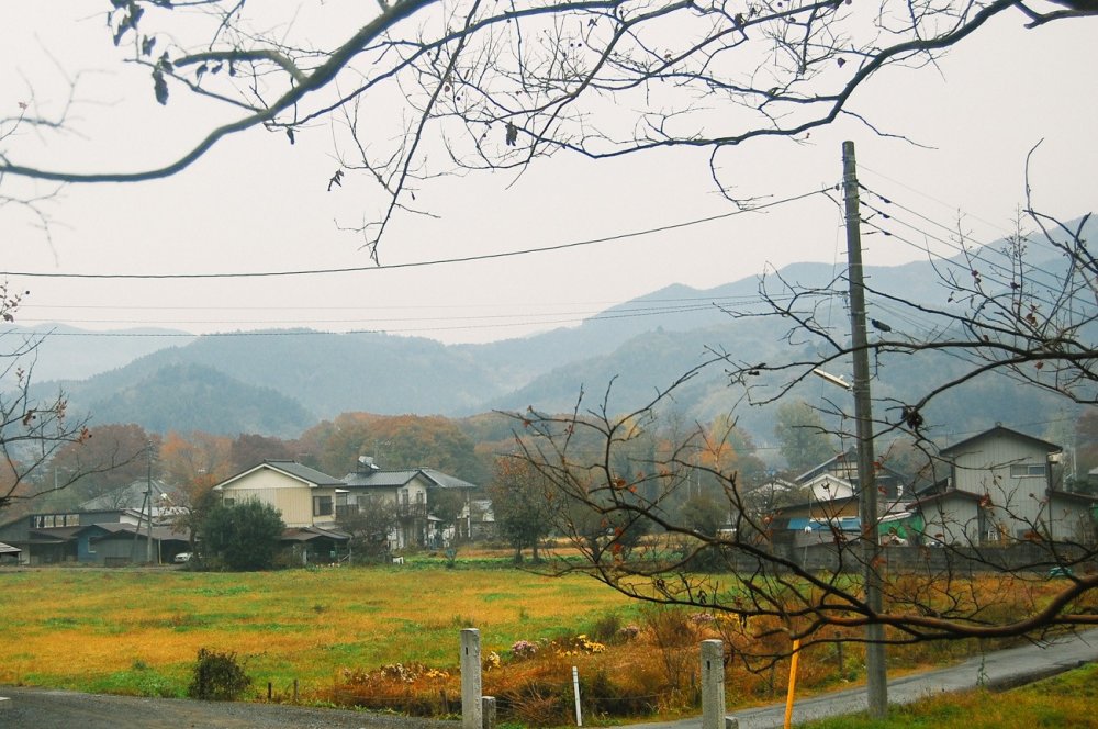 Musim Gugur di Desa Tochiya Saitama Japan Travel