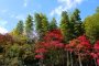 Mùa thu trên ngọn đồi Higashiyama