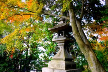 <p>There are many stone lanterns</p>
